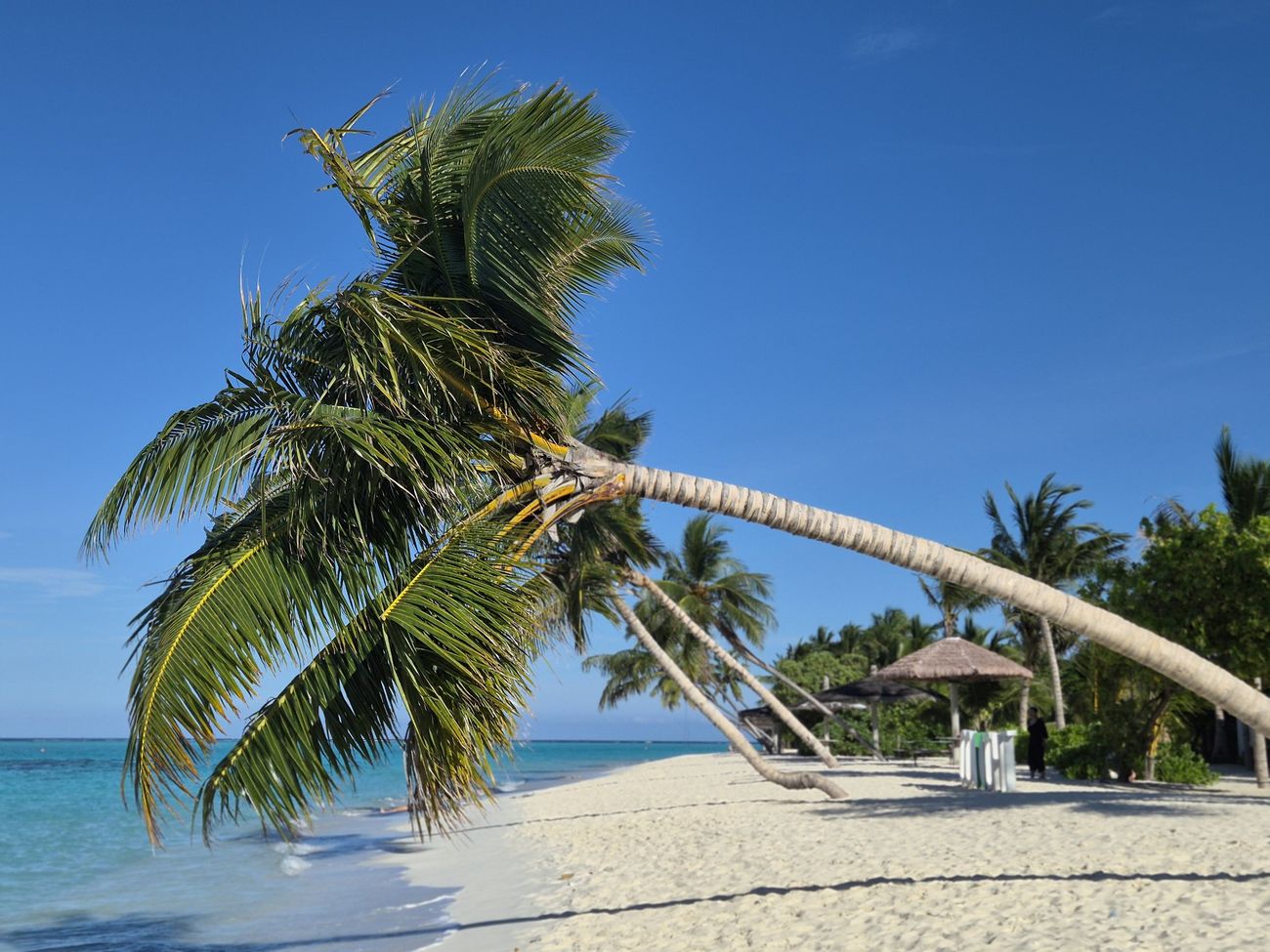 The tourist beach at midday
